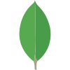Infolyt MongoDB Development